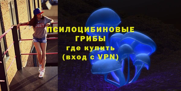 PSILOCYBIN Белоозёрский