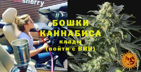 PSILOCYBIN Белоозёрский